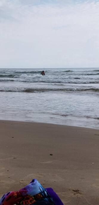 2 Bed 1 Bath Condo By Beach & Entertainment South Padre Island Exteriör bild