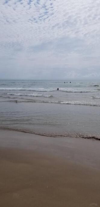 2 Bed 1 Bath Condo By Beach & Entertainment South Padre Island Exteriör bild